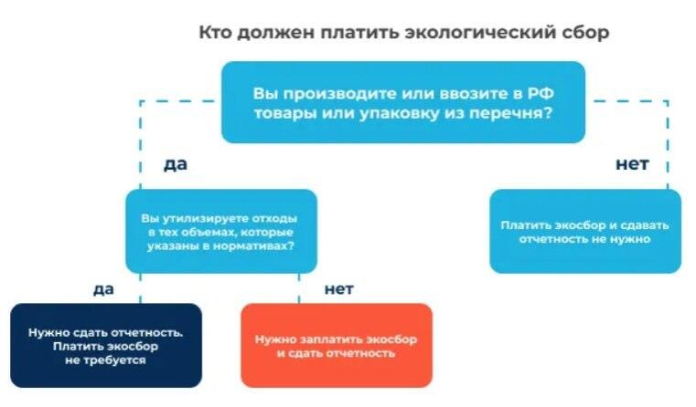 ecosbor1_018.jpg